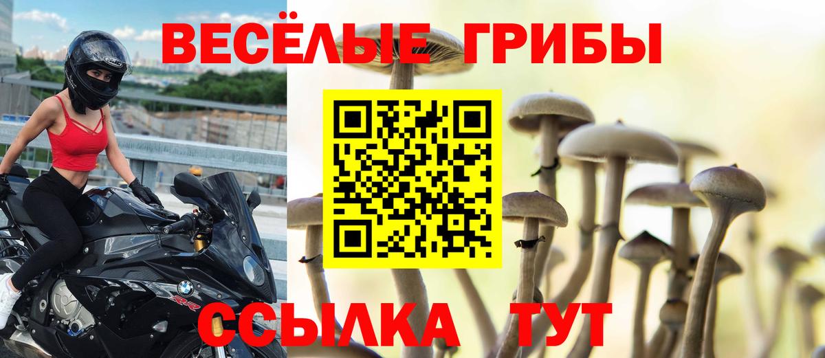 Псилоцибиновые грибы Magic Shrooms Лесозаводск